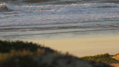 Sand Dunes and Ocean View at Sunset Stock Footage 222798684