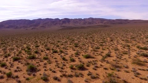 Sand dunes and shrubs in Mojave Desert, California Stock Footage 137429960