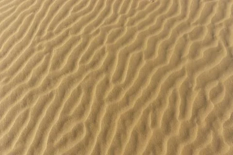 Sand dunes as background Foto stock