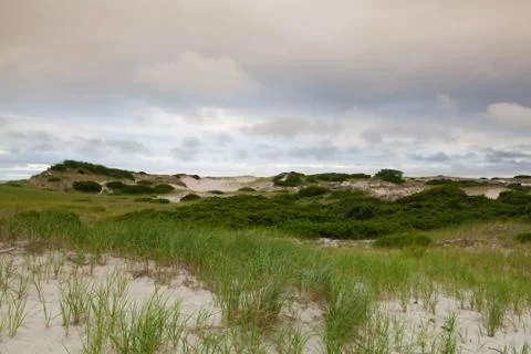 Sand dunes beach on the Cape Cod National Seashore on the Atlantic Ocean 库存照片