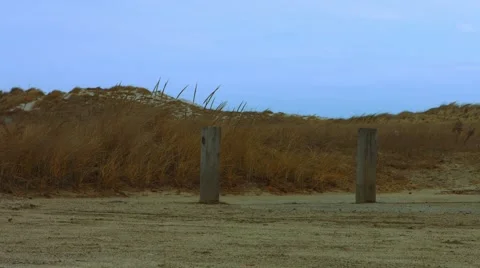 Sand Dunes at the Beach During The Winter Stock Footage 45371168