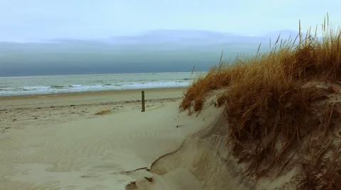 Sand Dunes at the Beach During The Winter Video stock 45372767