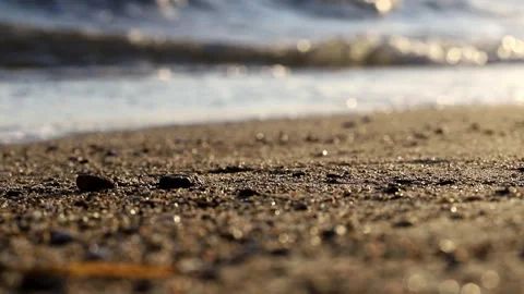 Sand dunes on the beach Video stock 247500194