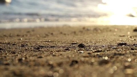 Sand dunes on the beach Video stock 247503059