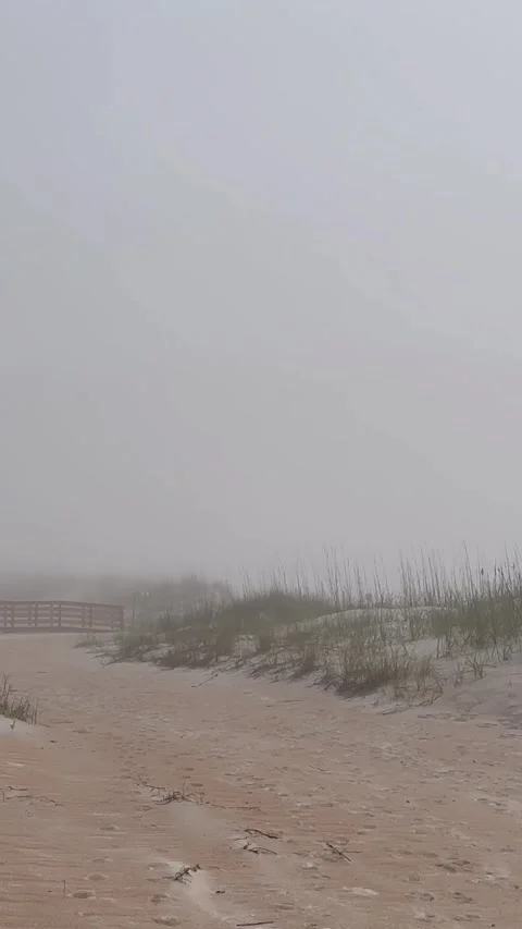 Sand dunes with beach grass and walkway onto sand, cloudy overcast foggy day 스톡 동영상 300157828