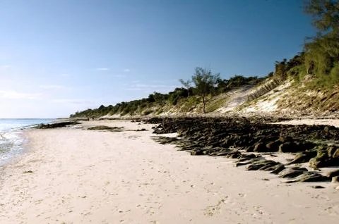 Sand dunes on a beach Stock Photos