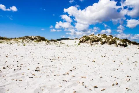 Sand dunes on a beach Stock Photos