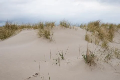 Sand dunes with beachgrass Stock Photos