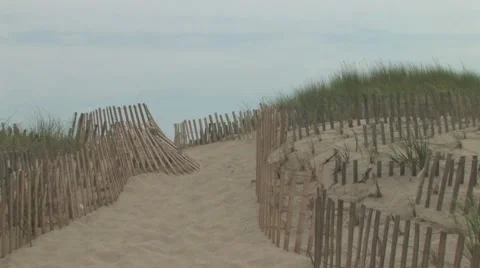 Sand Dunes of Cape Cod Stock Footage 8521128