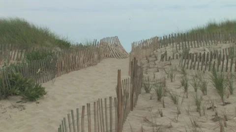 Sand Dunes of Cape Cod 스톡 동영상 8646904