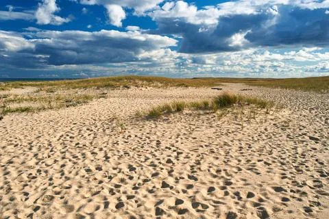 Sand dunes at Cape Cod Sand dunes at Cape Cod, Massachusetts, USA. Copyrig... Stock Photos