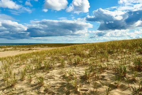 Sand dunes at Cape Cod Sand dunes at Cape Cod, Massachusetts, USA. Copyrig... Stock Photos