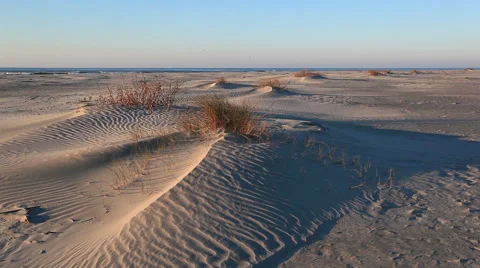 Sand dunes at Cherry Grove Beach, SC Stock-Footage 49230882