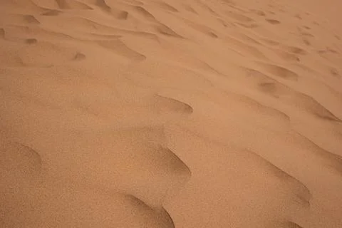 Sand dunes, close-up. the texture Foto stock