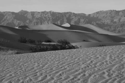 Sand Dunes in Dealth Valley Stock Photos
