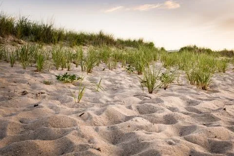 Sand dunes Delaware beach Stock Photos