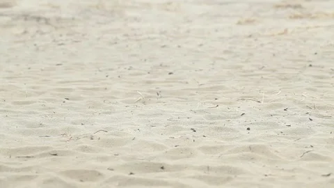 Sand dunes in the desert Video stock 310919805