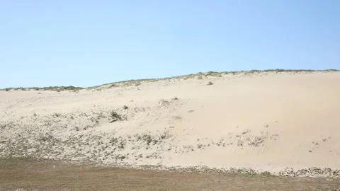 Sand dunes in the desert 스톡 동영상 310919808