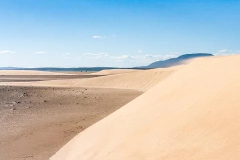 Sand dunes of desert Foto stock