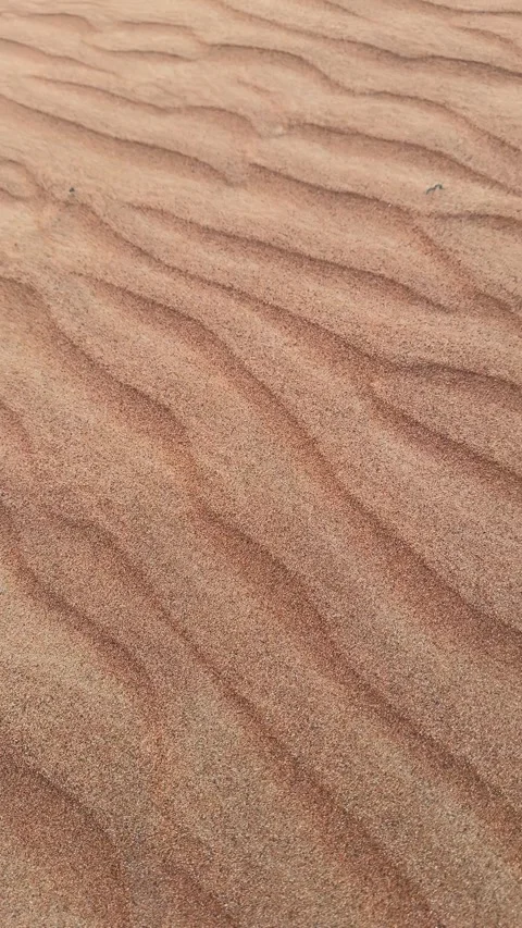 Sand dunes in the desert at sunset. Selective focus. Stock Footage 278649568