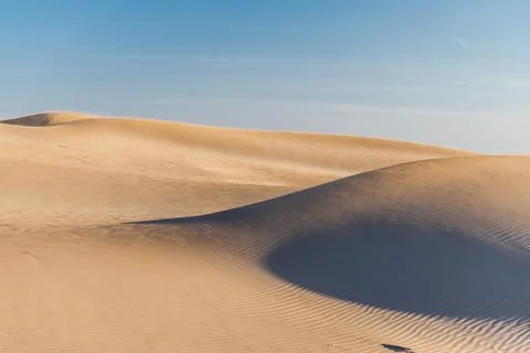 Sand dunes with dramatic shadow patterns under clear blue sky Stock Photos