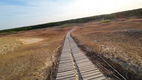 Sand Dunes Drone Flyover Stock Footage 246914031