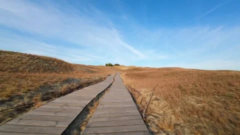 Sand Dunes Drone Flyover Stock Footage 246914112