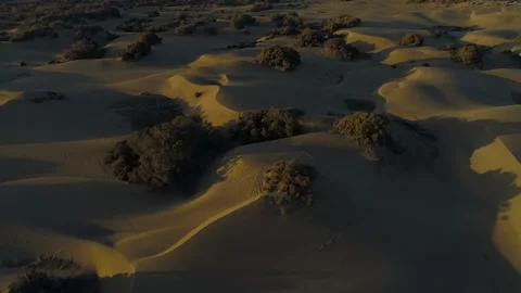 Sand Dunes - Flying Over Sandy Desert and Bushes Stock Footage 100707035
