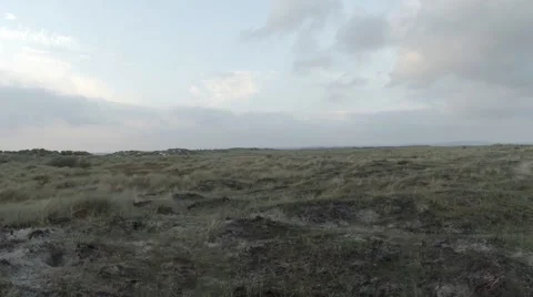 Sand Dunes Stock Footage 44400189