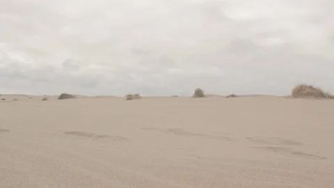 Sand dunes Stock Footage 77052522