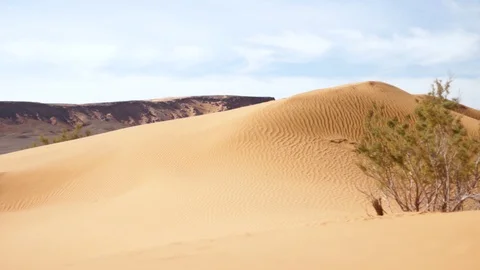Sand dunes Stock Footage 125094175