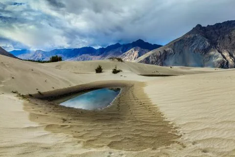 Sand dunes in Himalayas. Hunder, Nubra valley, Ladakh. India Stock Photos