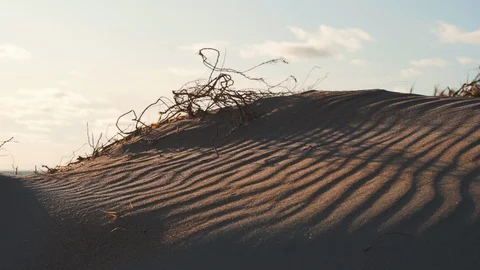 Sand Dunes In The Hot Desert Video stock 116625864