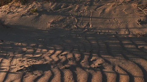 Sand Dunes In The Hot Desert Stock Footage 116654910