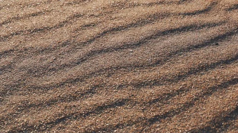 Sand Dunes In The Hot Desert Stock-Footage 116655184