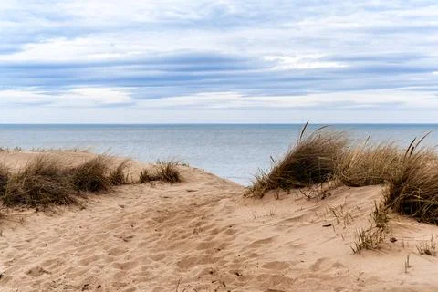 Sand dunes on the lake. Stock Photos