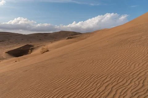 Sand dunes in lut desert Stock Photos
