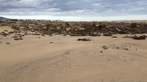 Sand dunes in the Maspalomas Stock Footage 124496360