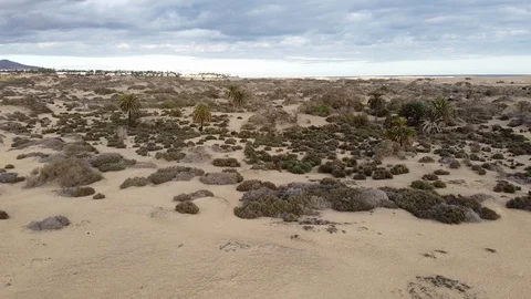 Sand dunes in the Maspalomas Stock Footage 124496373