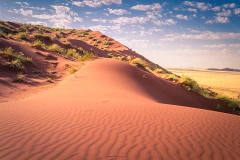 Sand dunes of Namibia, showing waves in the dry and arid sand, on a clouded b Stock Photos