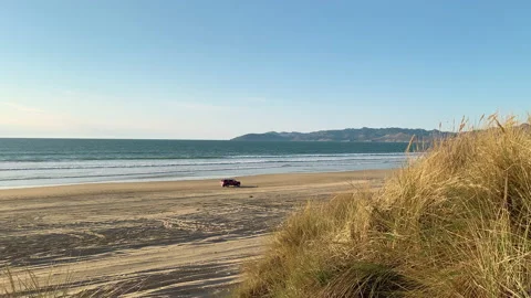 Sand dunes with native plants on the beach,and blue ocean Stock Footage 226476071