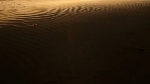 Sand dunes with natural patterns and grass. Stock Footage 88342818
