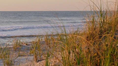 Sand dunes next to Atlantic Stock Footage 93240660
