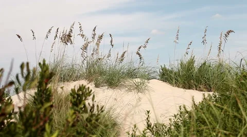 Sand Dunes In The Outer Banks, North Carolina Stock Footage 41741282