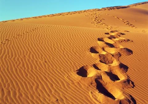 Sand dunes Foto stock