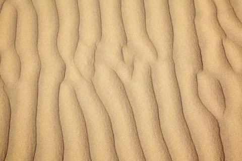 Sand dunes Stock Photos
