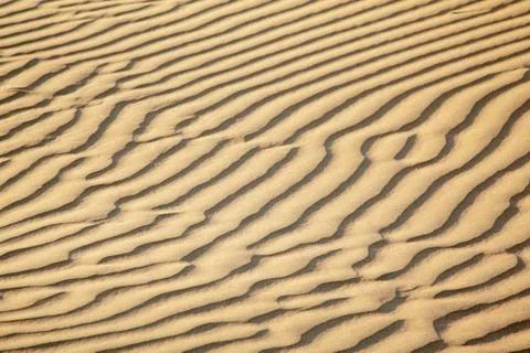 Sand dunes Stock Photos
