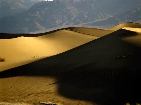 Sand  dunes Stock Photos