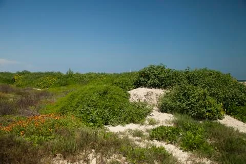 Sand Dunes Foto stock