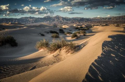 Sand dunes Stock Photos